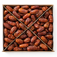 WD - Madinah Khudri Regular