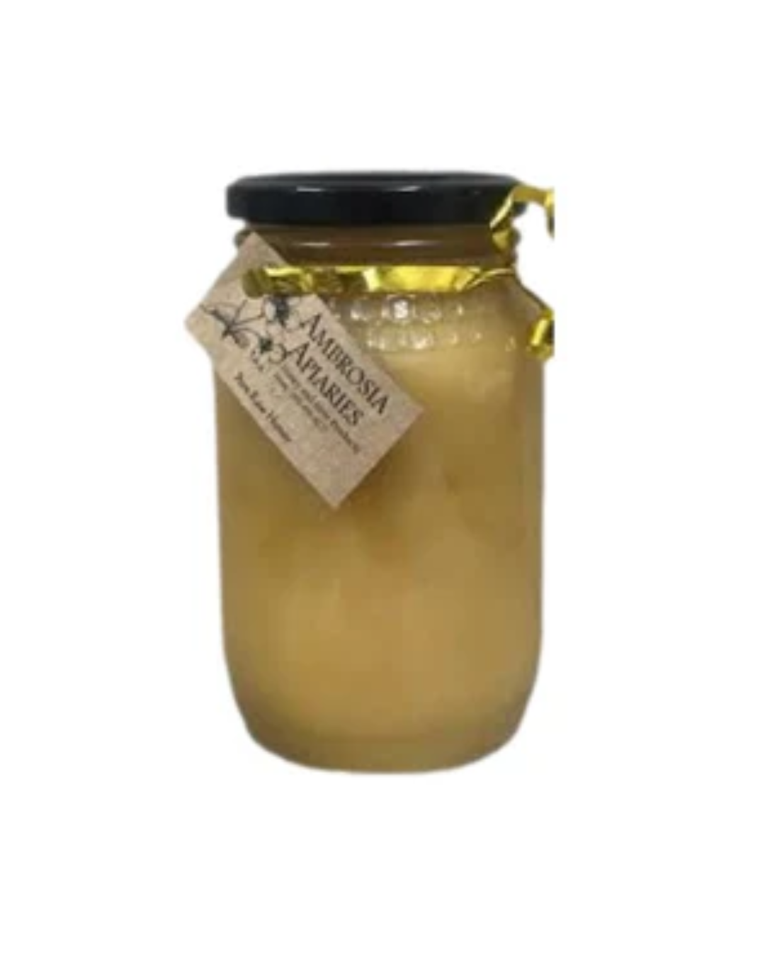 Ambrosia Saligna Bluegum Honey 500g