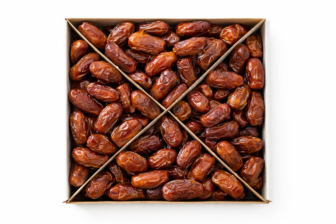 WD - Madinah Khudri Regular