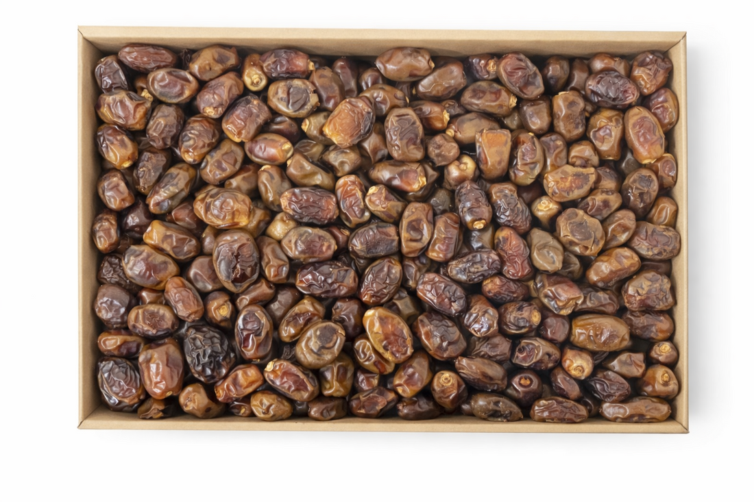 Qootof Altamr Munaifi Dates