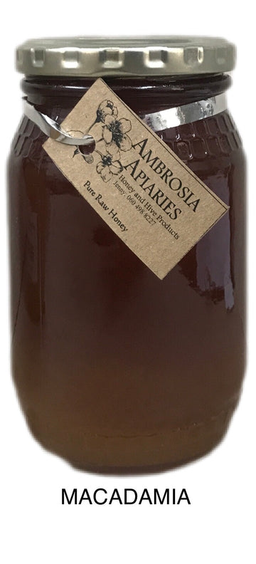 Ambrosia Macadamia Honey 500g