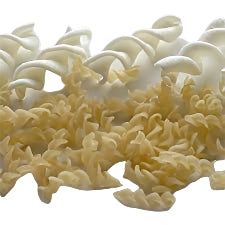 Twist Fryums 250g