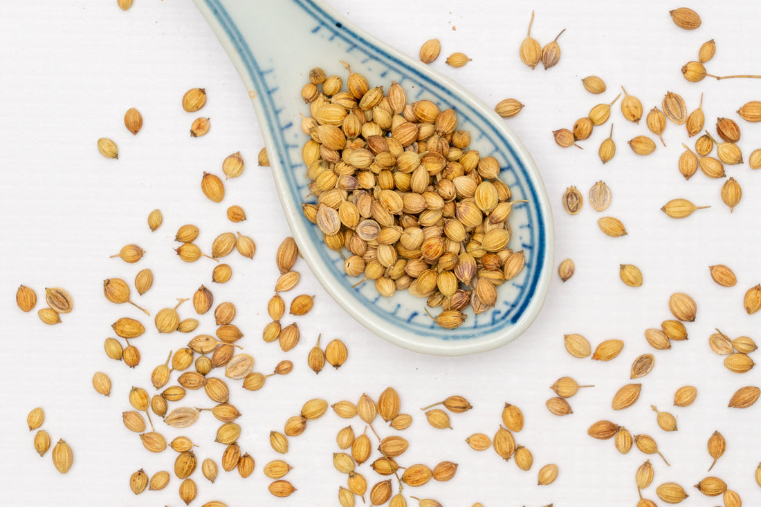 Aminas Whole Coriander / Dhania Seeds