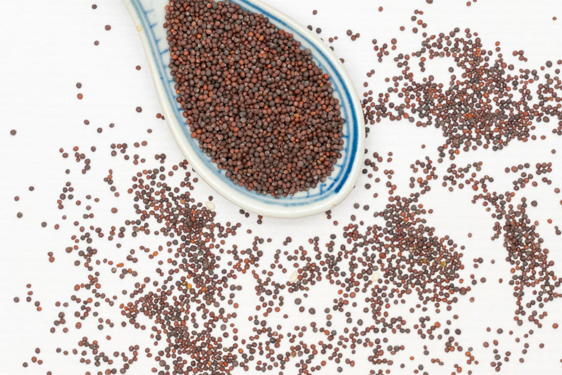 Aminas Mustard Seeds (Red)