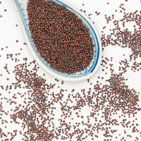 Aminas Mustard Seeds