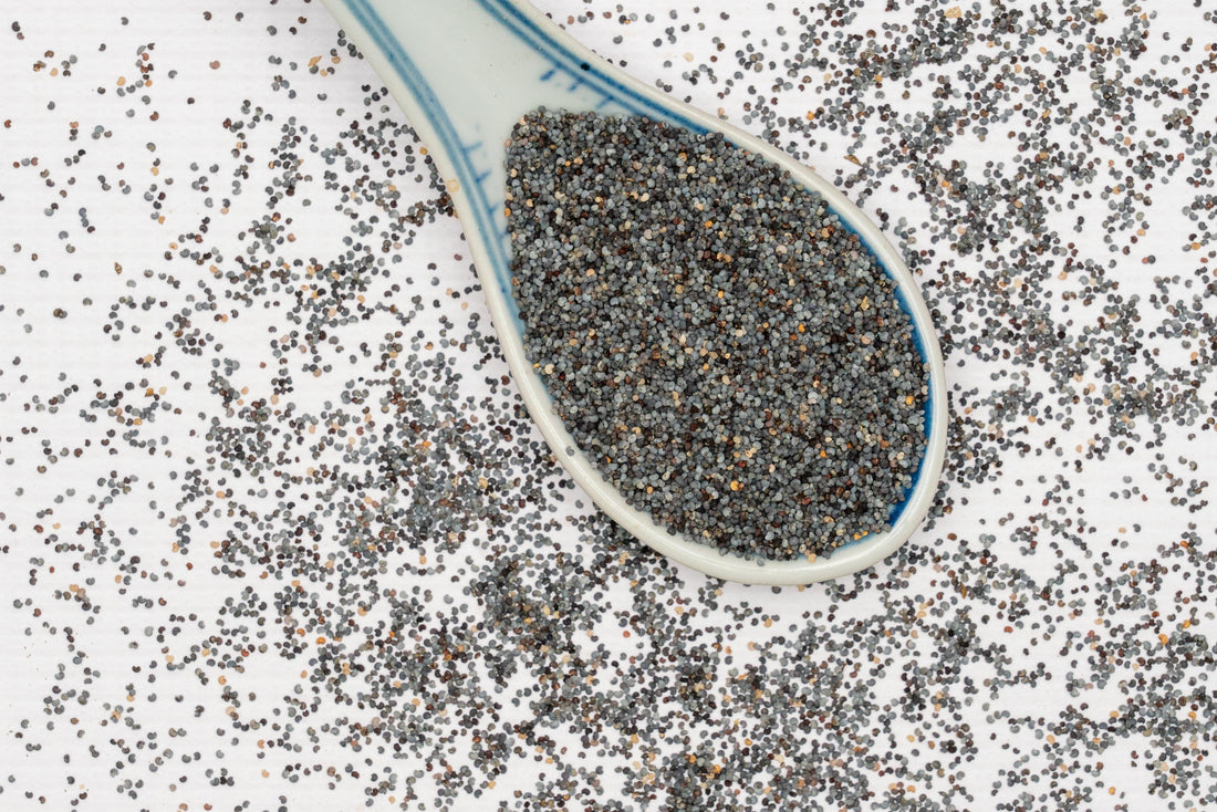 Aminas Kas Kas Poppy Seeds (Blue)